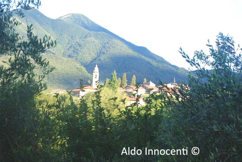 VILLA DI TRESANA: PANORAMA 2' IMMAGINE